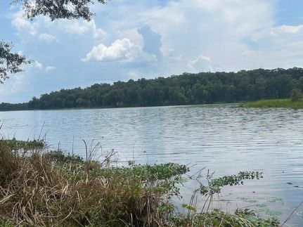 Recreational Property for sale in Wilcox County, Alabama