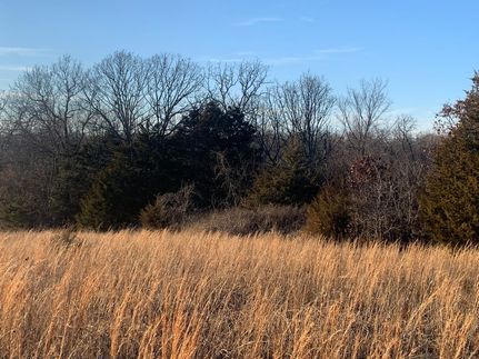 Undeveloped Land for sale in Dent County, Missouri