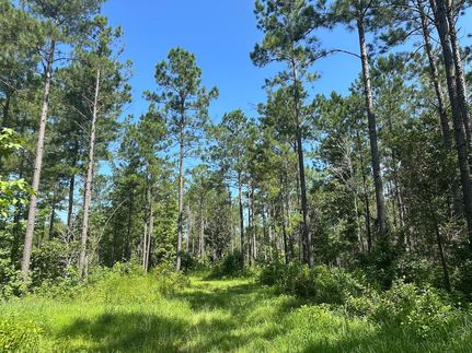 Ranch Property for sale in Clarke County, Mississippi