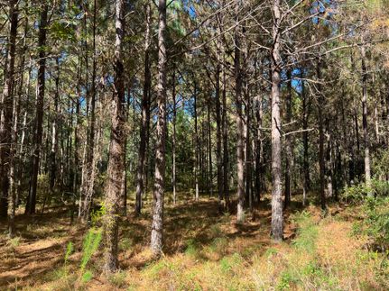 Farm Property for sale in Barbour County, Alabama