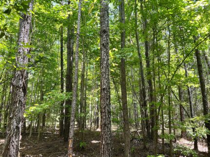 Farm Property for sale in Montgomery County, Alabama