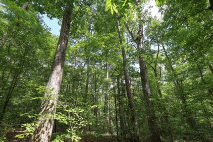 Undeveloped Land for sale in Jackson Parish, Louisiana