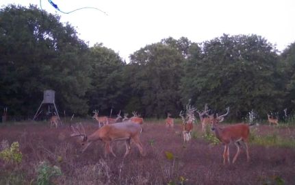 Farm Property for sale in Hughes County, Oklahoma