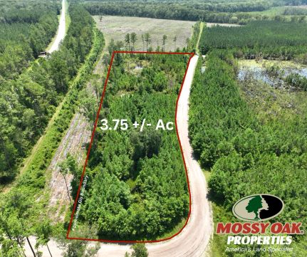 Farm Property for sale in Camden County, Georgia