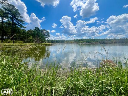 Recreational Property for sale in Bullock County, Alabama