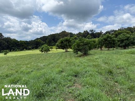 Farm Property for sale in Cherokee County, Alabama