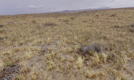 Undeveloped Land for sale in Humboldt County, Nevada
