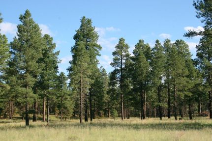 Recreational Property for sale in Coconino County, Arizona