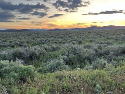 Farm Property for sale in Lassen County, California