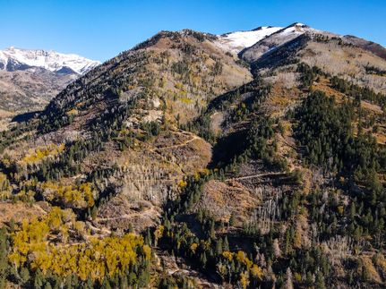 Undeveloped Land for sale in La Plata County, Colorado