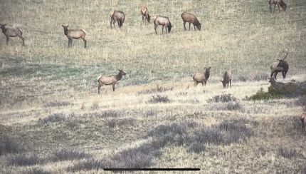 Recreational Property in Musselshell County, Montana