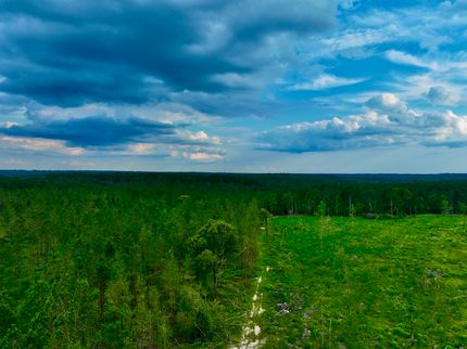 Property for sale in Walthall County, Mississippi