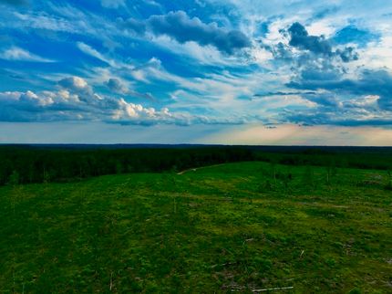 Farm Property for sale in Walthall County, Mississippi