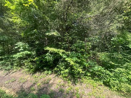 Farm Property for sale in Clay County, Tennessee