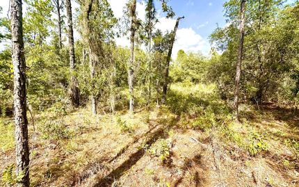 Ranch Property for sale in Levy County, Florida