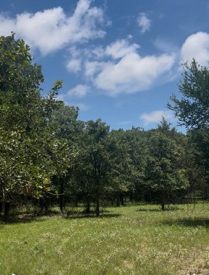 Farm Property for sale in Wise County, Texas
