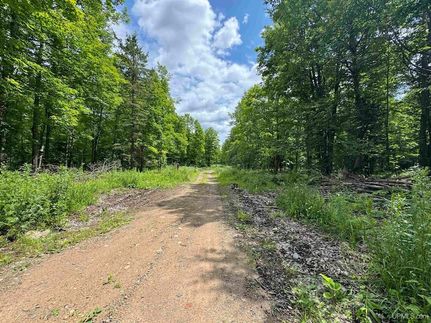 Residential Property for sale in Iron County, Michigan