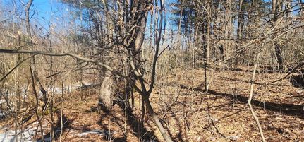 Ranch Property for sale in Sullivan County, New York