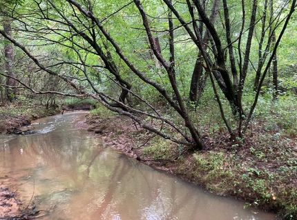 Undeveloped Land for sale in Hardin County, Tennessee