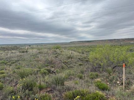 Undeveloped Land for sale in Potter County, Texas