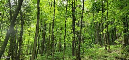 Farm Property for sale in Berkshire County, Massachusetts