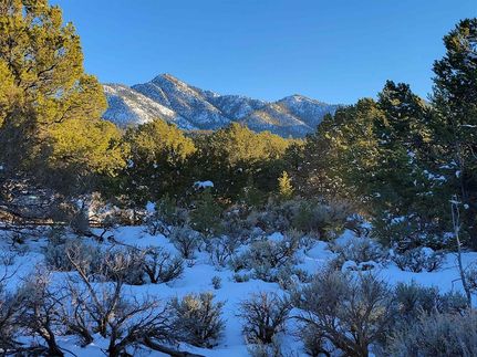 Undeveloped Land for sale in Taos County, New Mexico