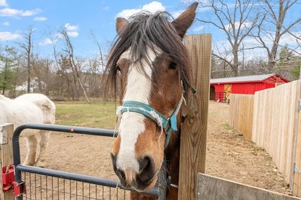 Ranch Property for sale in Middlesex County, Massachusetts
