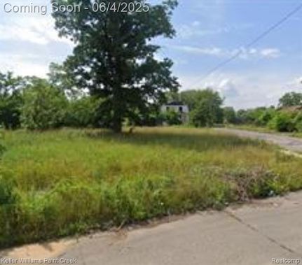Ranch Property for sale in Wayne County, Michigan