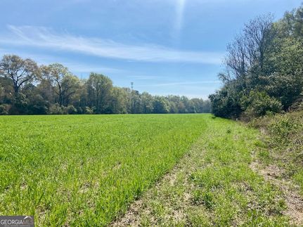 Farm Property for sale in Peach County, Georgia