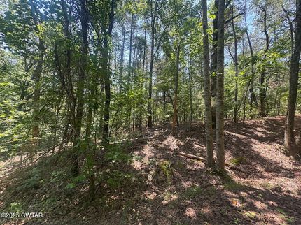 Farm Property for sale in Hardeman County, Tennessee