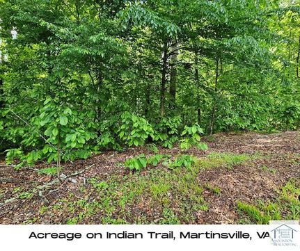 Ranch Property for sale in Martinsville City County, Virginia