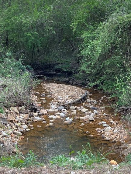 Farm Property for sale in Randolph County, Alabama