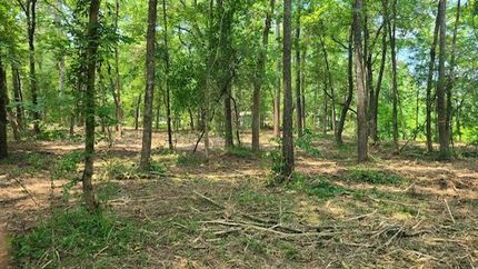 Ranch Property for sale in Montgomery County, Texas