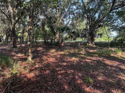 Farm Property for sale in Polk County, Florida