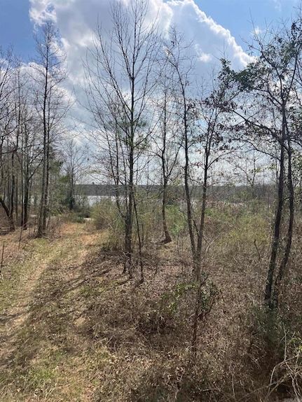 Recreational Property for sale in Hempstead County, Arkansas