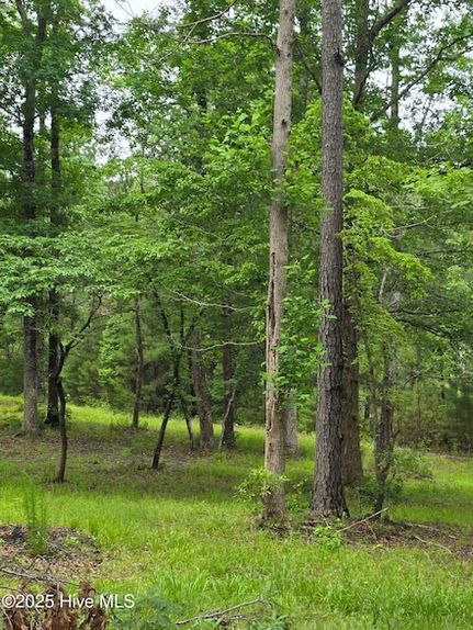 Recreational Property for sale in Onslow County, North Carolina