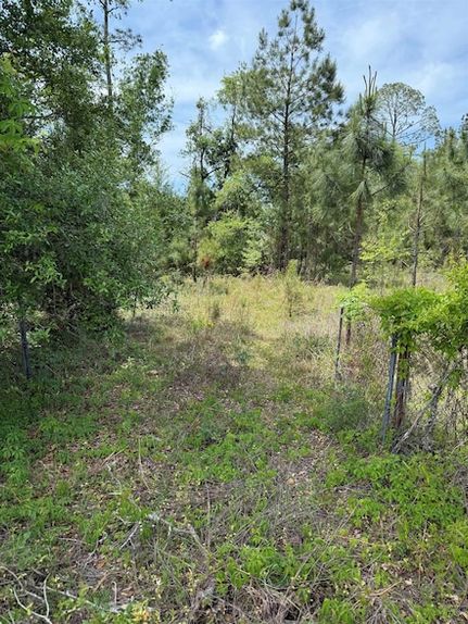 Ranch Property for sale in Taylor County, Florida