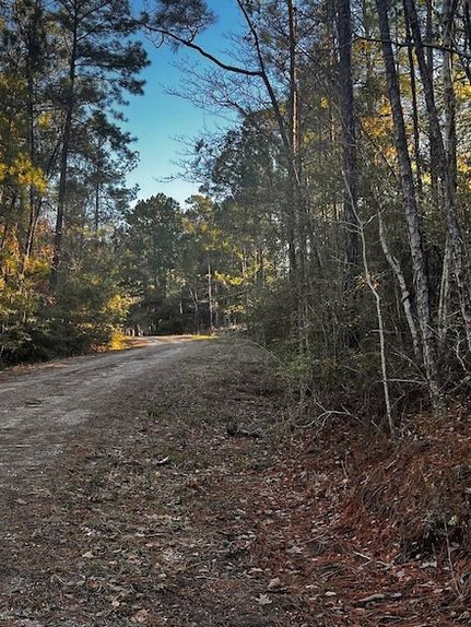 Recreational Property for sale in Jasper County, Texas
