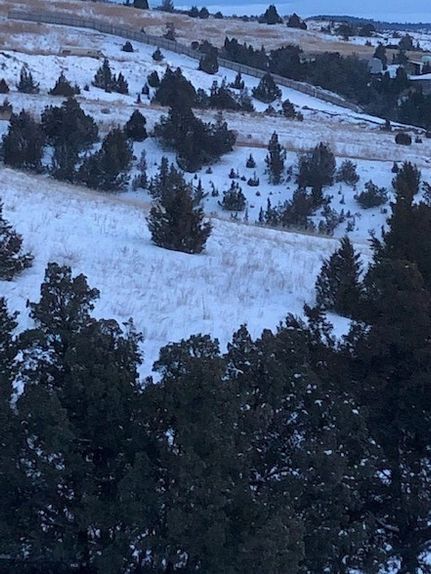 Farm Property for sale in Gallatin County, Montana