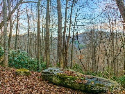 Recreational Property for sale in Madison County, North Carolina