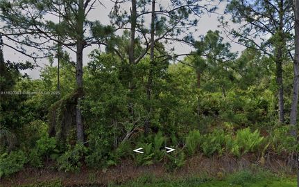 Farm Property for sale in Highlands County, Florida