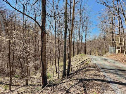 Farm Property for sale in Taylor County, West Virginia