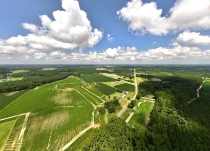 Undeveloped Land for sale in Wilson County, North Carolina
