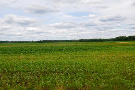 Farm Property for sale in Taylor County, Wisconsin