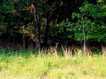 Ranch Property for sale in Wilson County, Texas