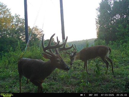 Farm Property for sale in Meigs County, Ohio