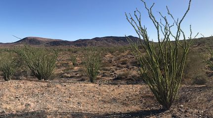 Ranch Property for sale in Mohave County, Arizona