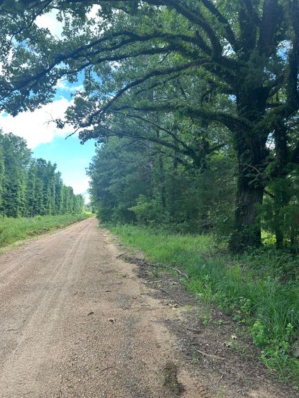 Timberland Property for sale in Marengo County, Alabama