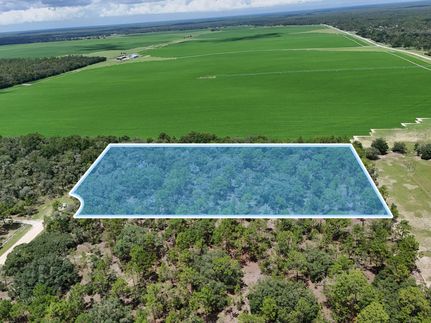 Farm Property for sale in Levy County, Florida