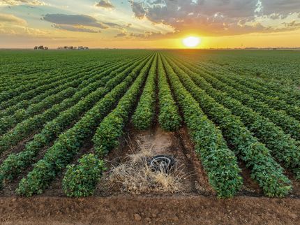 Farm Property for sale in Haskell County, Texas